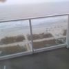 shirley_newton